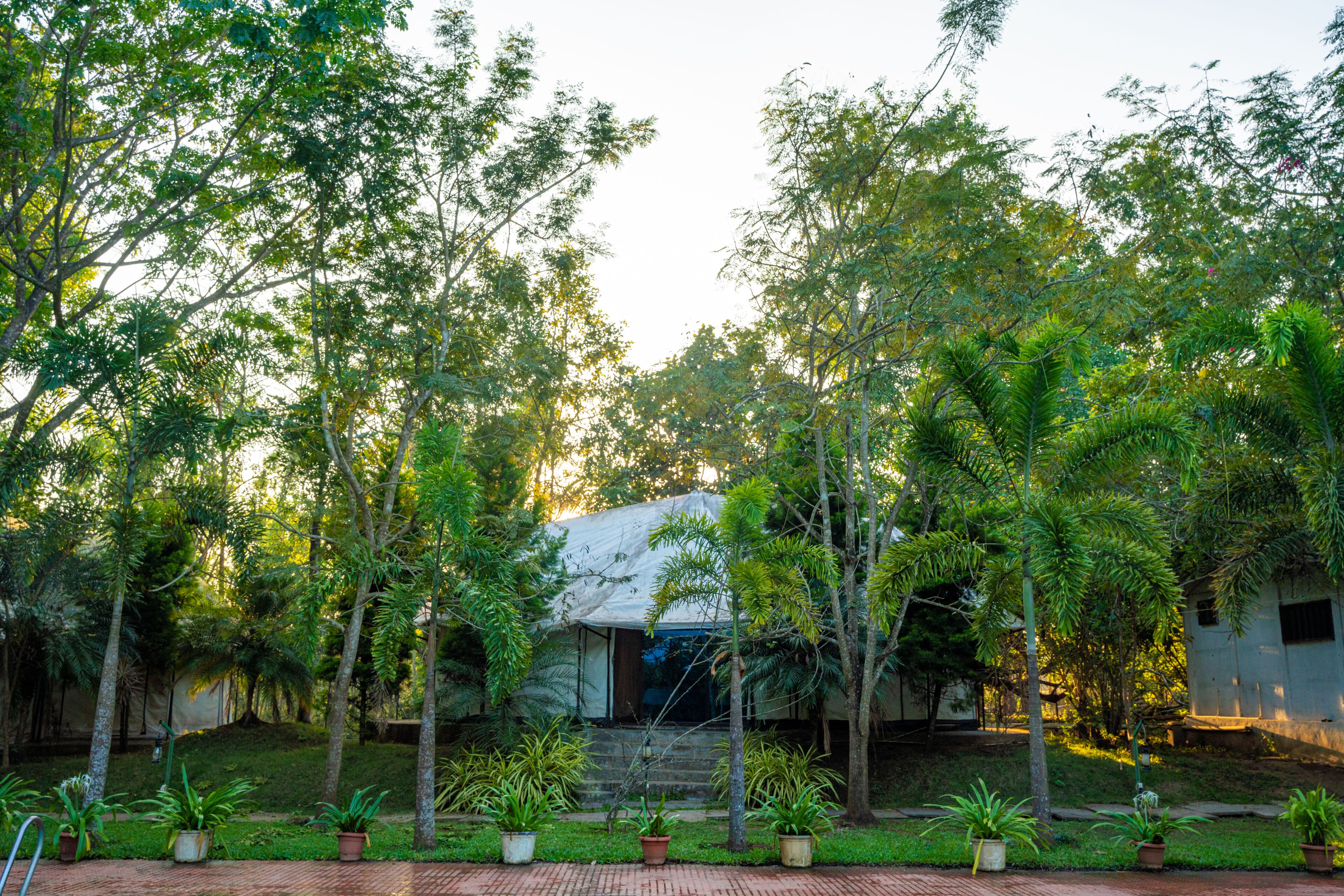 Une maison entourée d’une végétation luxuriante et agrémentée de plantes en pot.