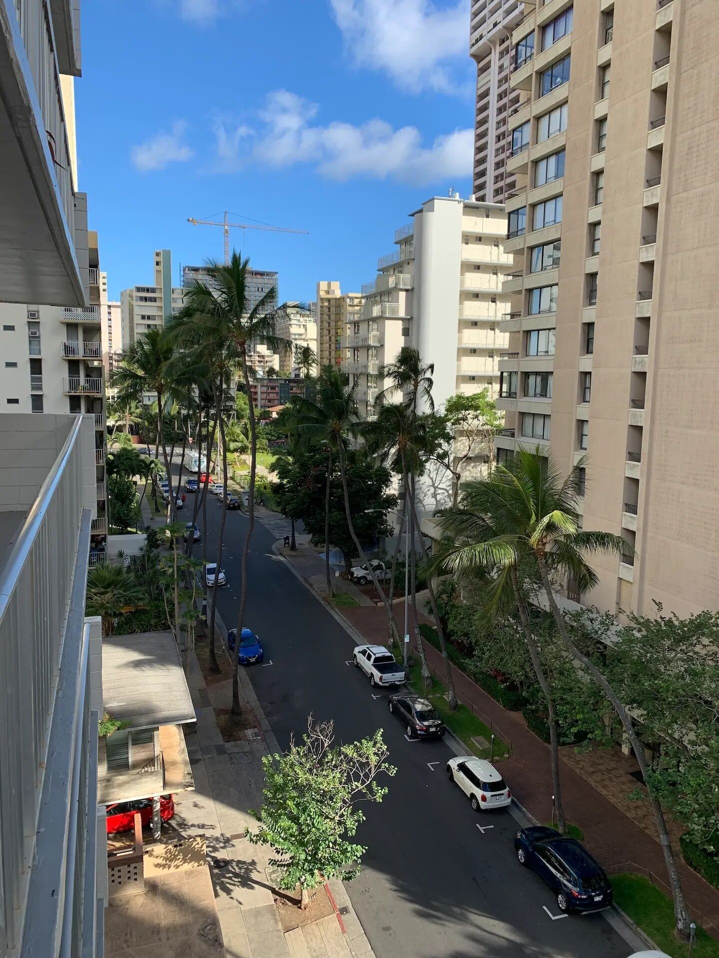Una calle residencial con edificios altos, palmeras y coches aparcados.
