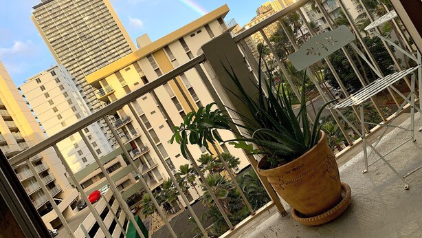A balcony with a view of high-rise buildings, a potted plant, and a metal railing. - Waikiki Living, 4 blocks from surf, mountain views, king size bed and office! (Honolulu)