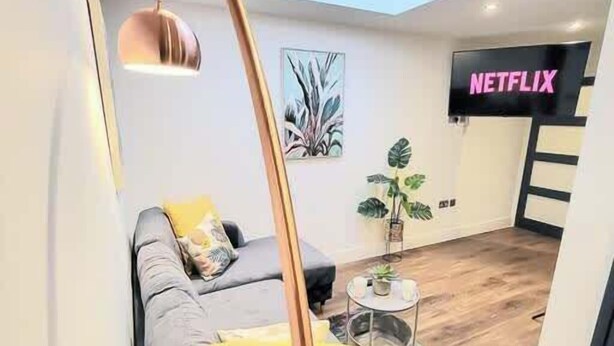 Una sala de estar moderna con un sofá gris, cojines amarillos, una mesa de centro con una planta, una alfombra colorida y una lámpara de techo.