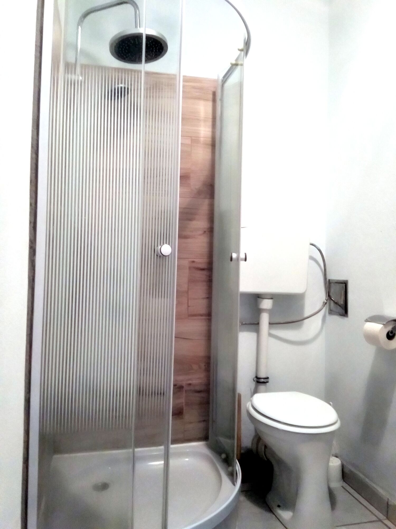 Une salle de bain avec un espace douche, des toilettes et un mur en bois.