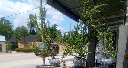 Mikocheni Studio Apartment