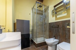 Shower, hair dryer, bidet, towels