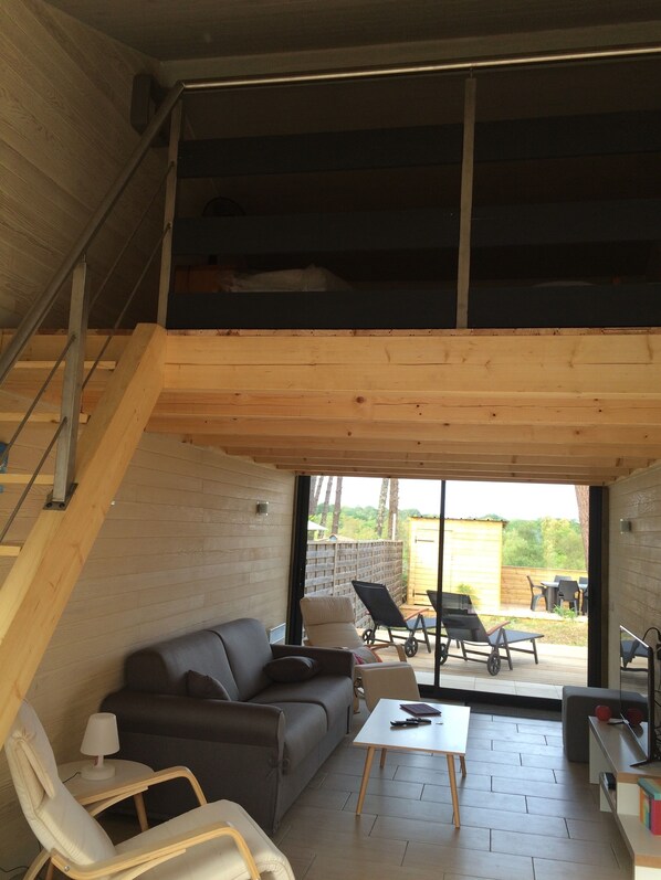 Fernseher, DVD-Player, Bücher