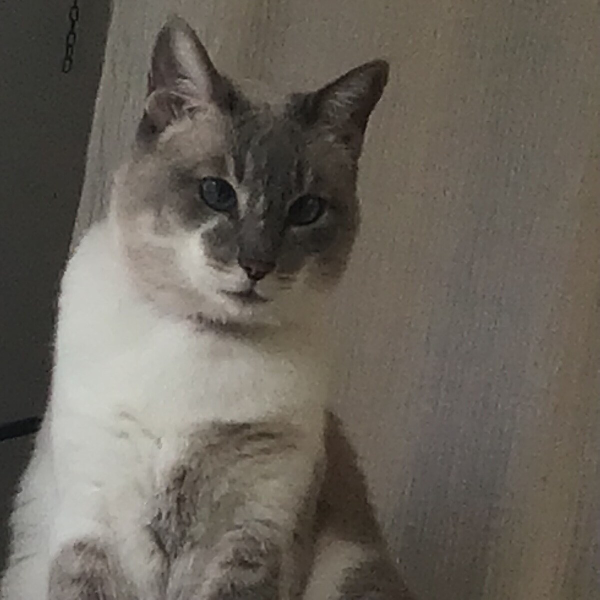 Värdens profilbild