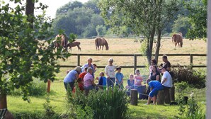 A group of people gathered around a wooden fence in a grassy area with horses grazing in the background. - Eckhorst Farm, Tuscany (Güby)
