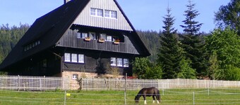Vacation apartment in idyllic forester's lodge, family-friendly, dogs welcome