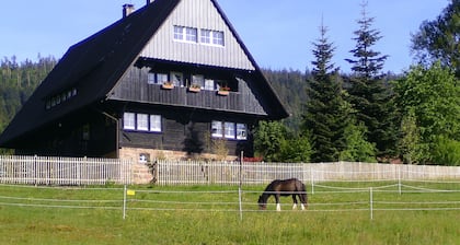 Fewo Hüttenzauber in idyllischem Forsthaus, familienfreundl., Hunde willkommen