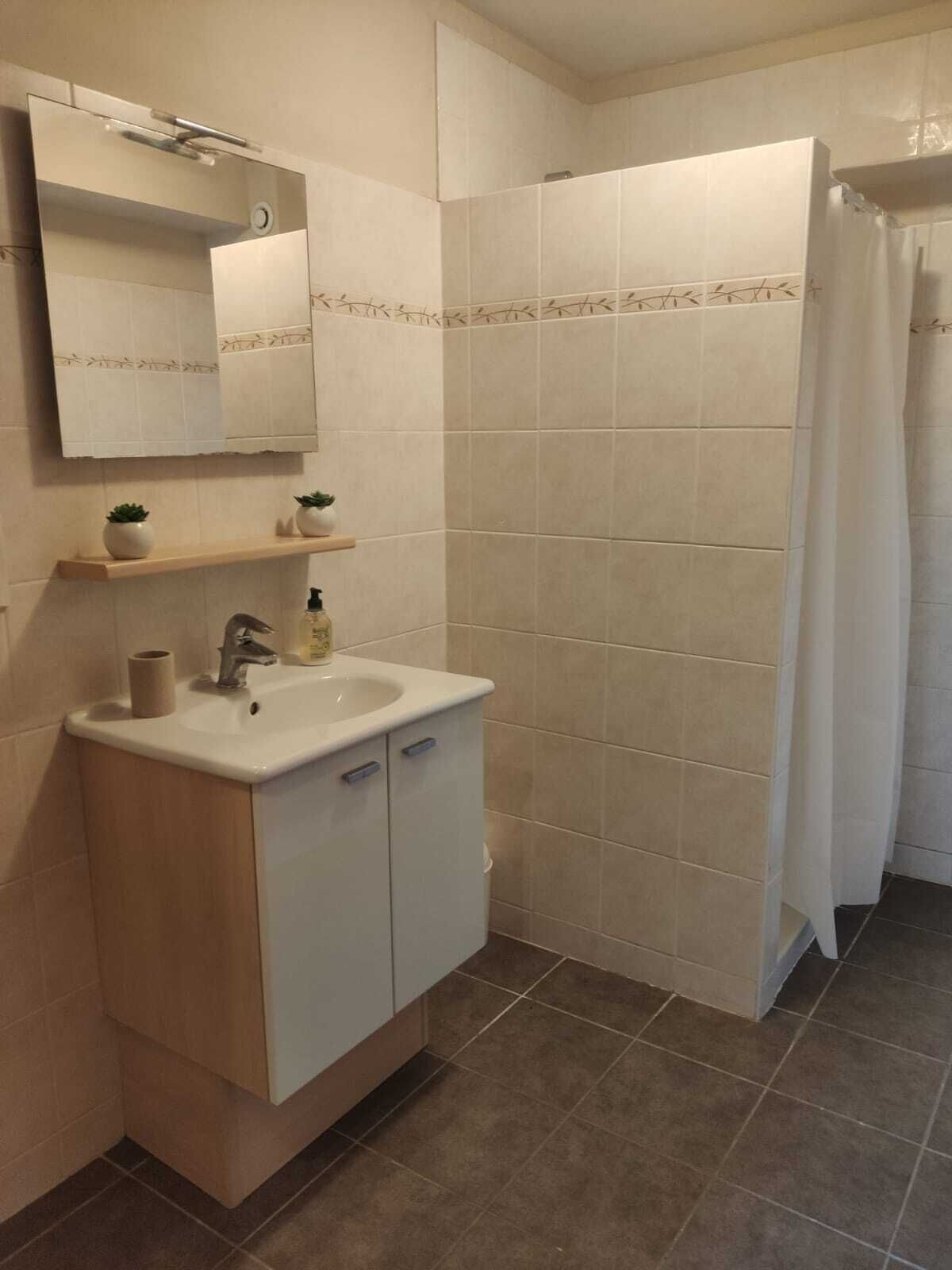 Ein Badezimmer mit Waschbecken, Spiegel und Dusche.