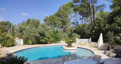 Peace and relaxation in green Provence