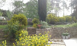 A garden with stone walls, yellow flowering plants, and a variety of trees.