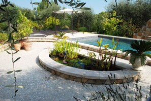 A pool surrounded by a stone border, a pergola, and various potted plants.