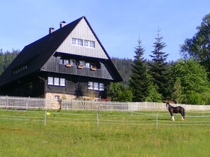 Ulkopuoli