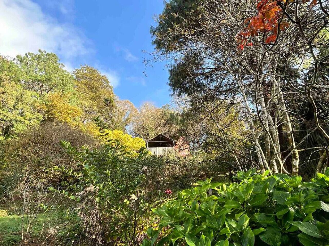A garden with a wooden structure surrounded by various trees and shrubs.