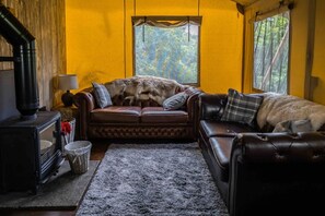 Fireplace, ping pong