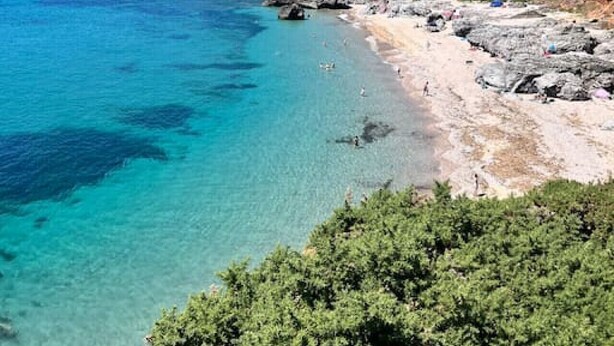 Un paisaje costero con aguas turquesas cristalinas, una playa rocosa y colinas verdes.