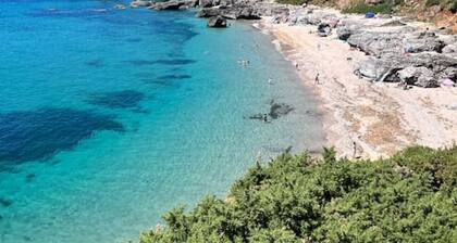 Magnolia Lodge @ Lower Coombe Royal with Hot Tub