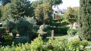A well-maintained garden with various trees and shrubs, a stone pathway, and a view of buildings in the background. - RED 1 Apartment (Portiglioni)