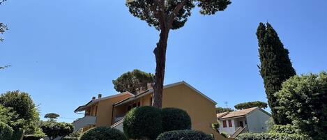 Área da propriedade