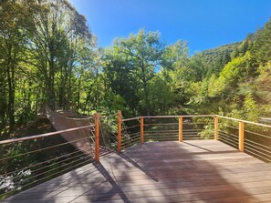 Property grounds - Dragonfly nest (Joncels)