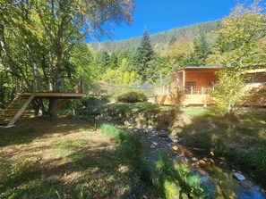 Property grounds - Dragonfly nest (Joncels)