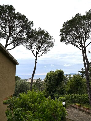 Property grounds - AZURE 4 Apartment (Portiglioni)