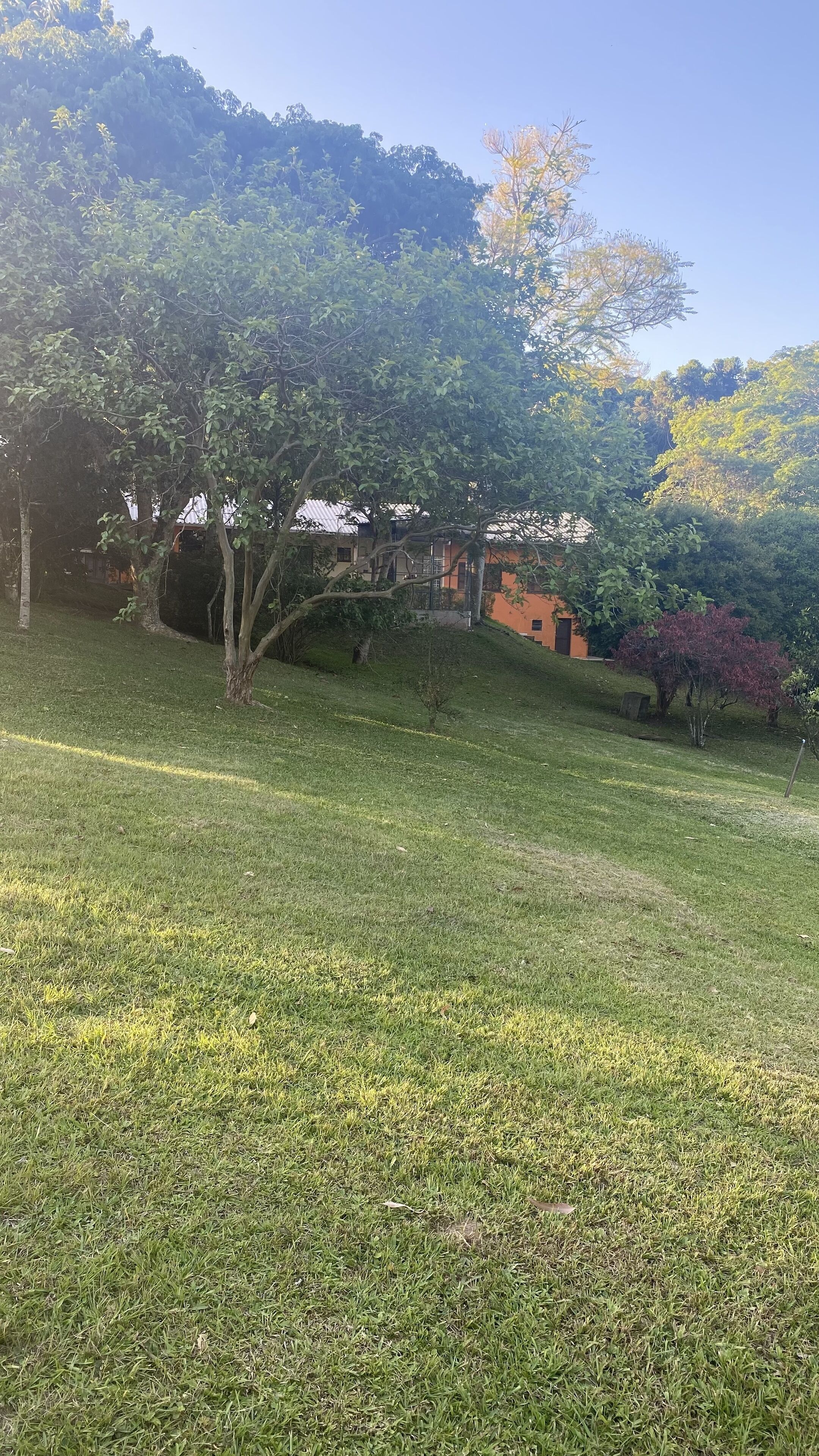 Área da propriedade