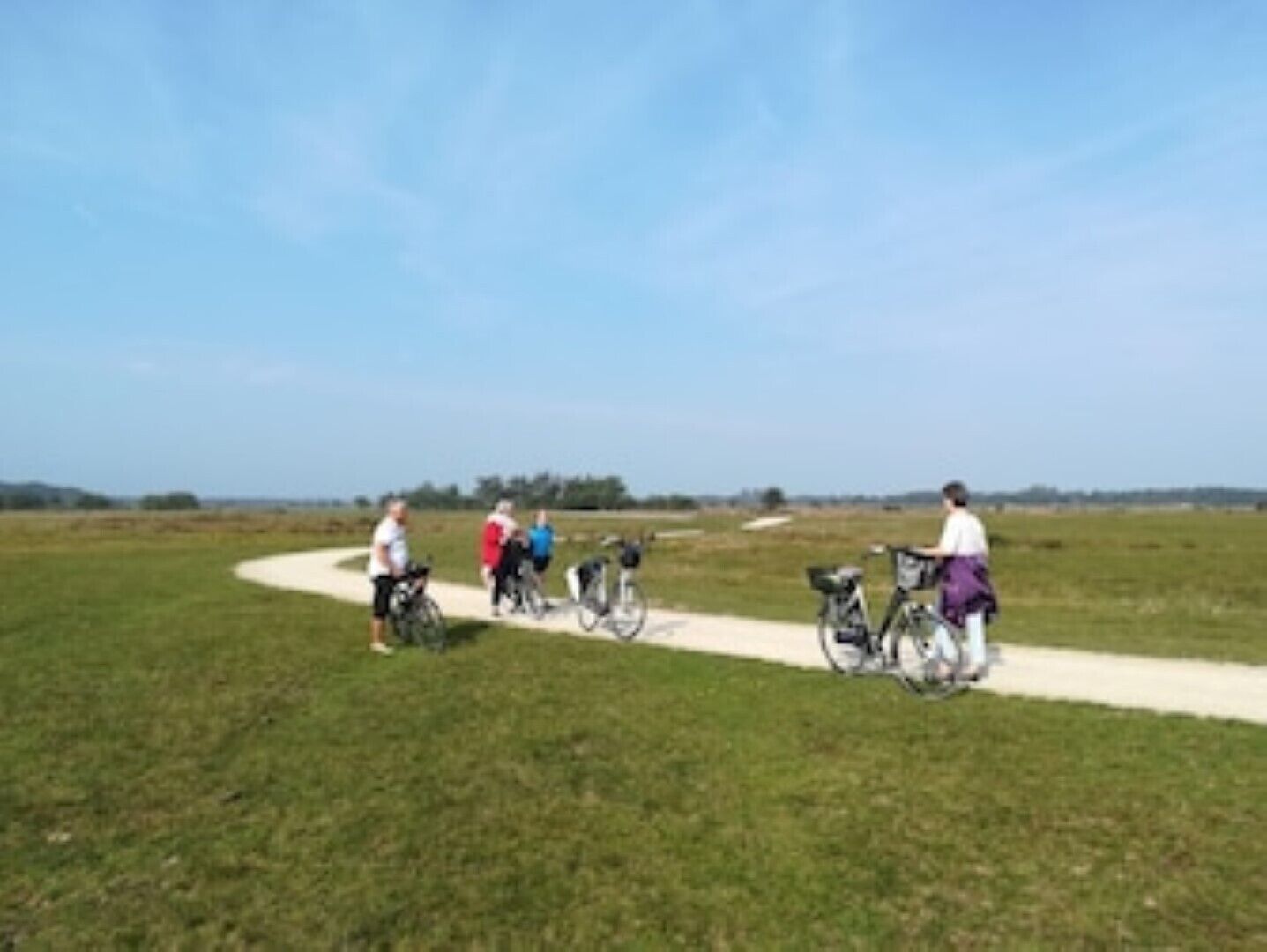 Eine Gruppe von Radfahrern auf einem asphaltierten Weg in einer grünen Wiese.