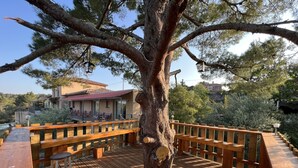 Une terrasse en bois, agrémentée de bancs et de tables, entourée d’arbres et offrant une vue sur un bâtiment doté d’une terrasse extérieure.