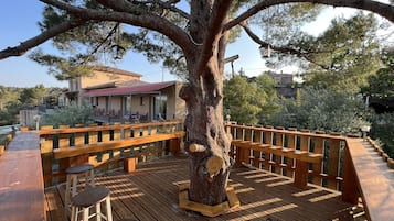 Terraço/pátio