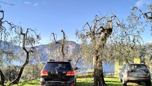 Un SUV negro estacionado en un área con césped, con árboles y montañas al fondo.