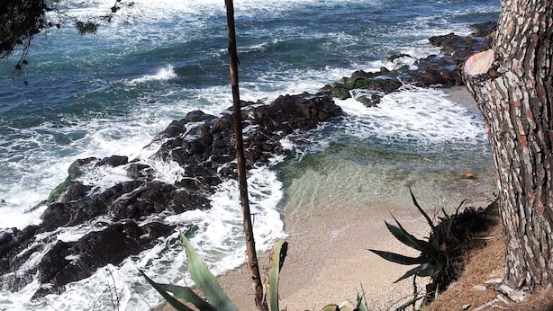 Un rivage rocheux bordé d’une eau d’un bleu limpide, une plage de sable et un arbre dont le tronc est marqué de motifs.