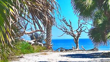 Chaises longues, serviettes de plage