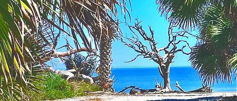 Sun-loungers, beach towels