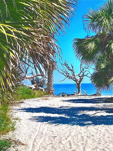 2 Minute Walk to Beach, Pet Friendly, Hot Tub, Convenient Private Parking