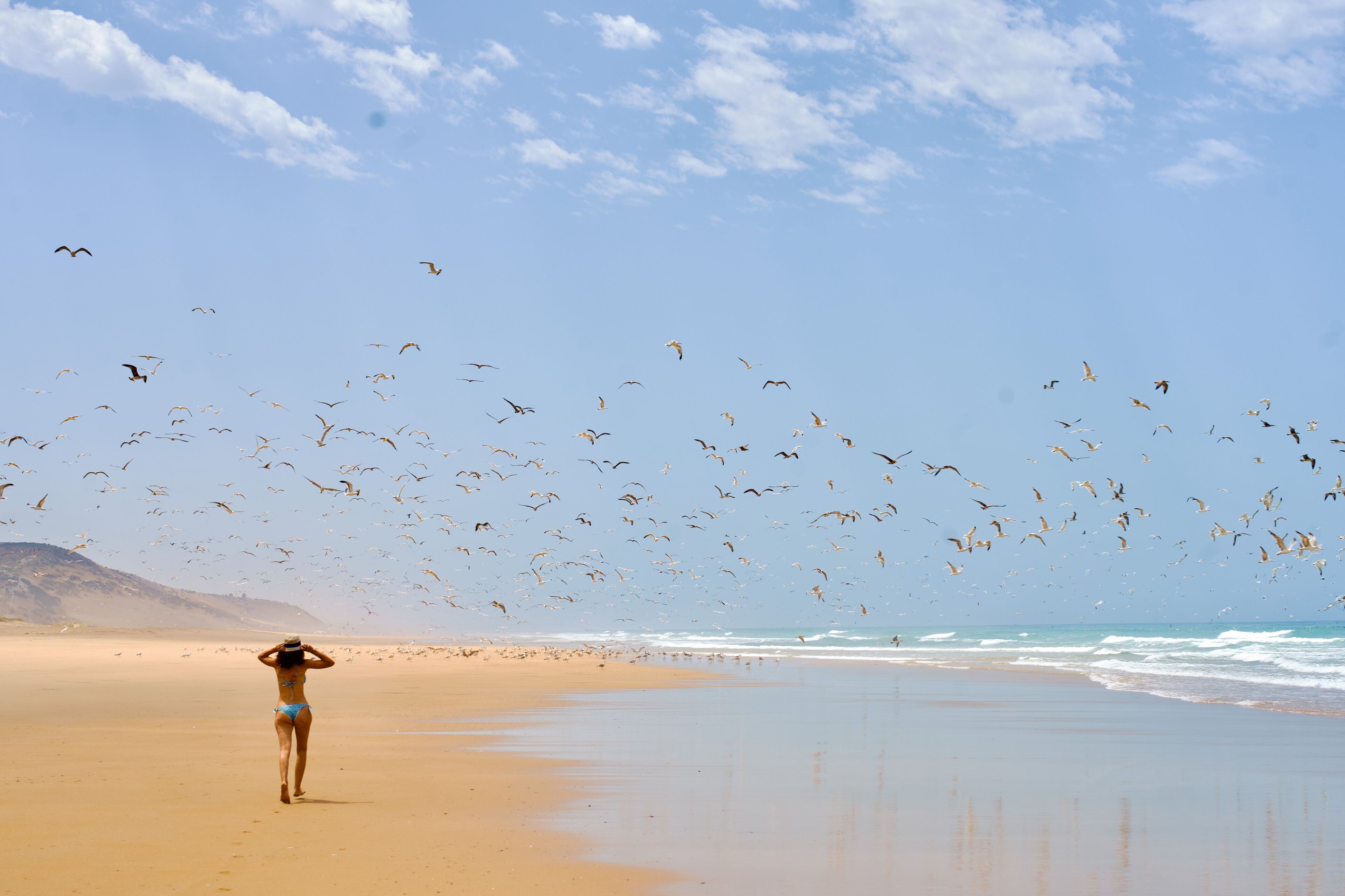 Uma praia com uma pessoa de biquíni e pássaros voando.