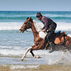 Horse riding