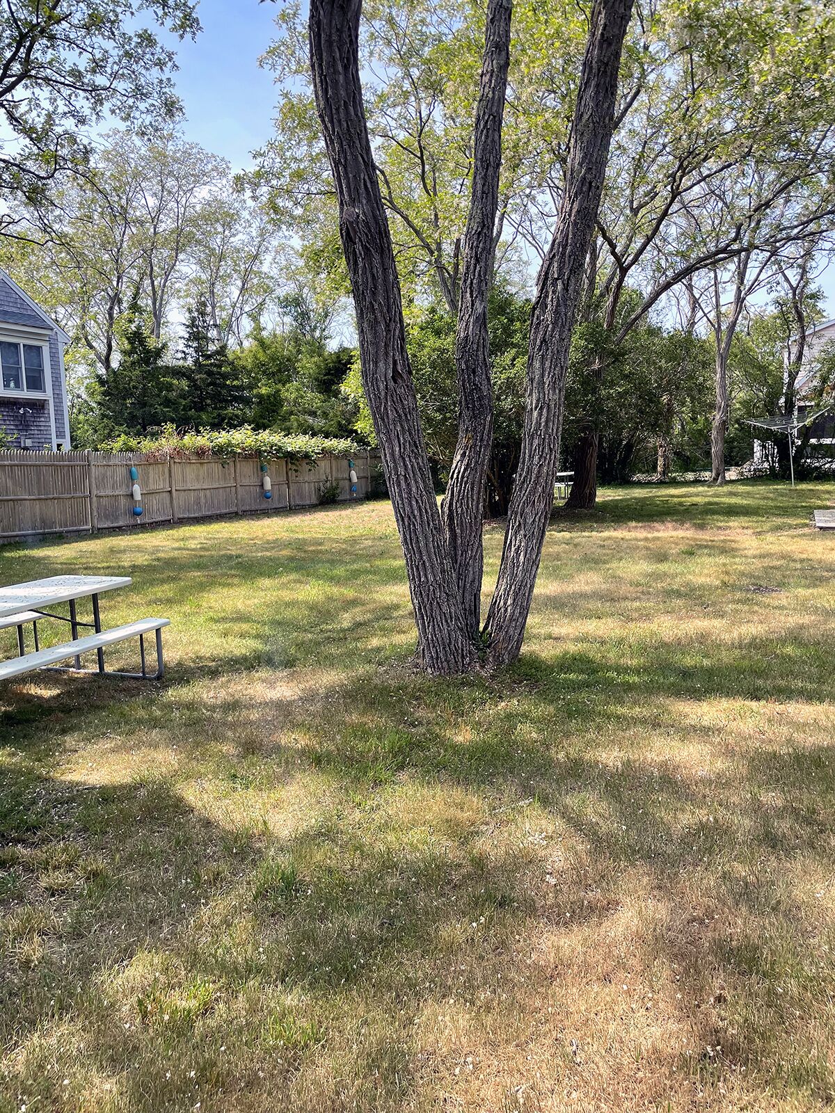 Un patio trasero con una mesa de picnic, una valla de madera y árboles.