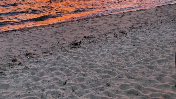A beach with a sunset over the ocean. - Adorable Cape Cottage Near Kingsbury Beach (Eastham)