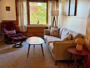 Älytelevisio, kirjoja