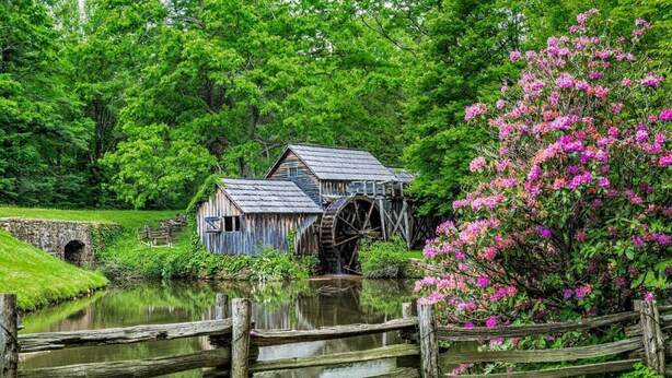 Een rustieke watermolen met houten constructie en een groot waterrad, omgeven door weelderige begroeiing en een kleine brug.