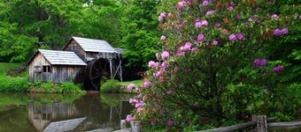 Soak in the Hot Tub & View the Stars @ "Starlight Yurt"