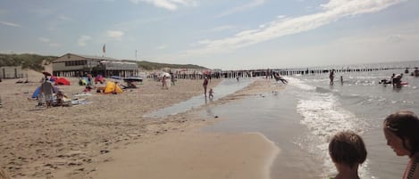在海灘附近、躺椅