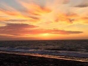 بالقرب من الشاطئ، كراسي للتشمس