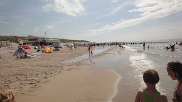 Lettini da mare