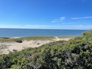 On the beach, sun loungers, beach towels - Private Beachfront Home (Comfy, Cozy Nantucket Cottage) (Nantucket)