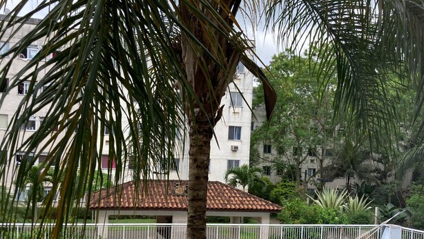 A swimming pool with a tiled deck, surrounded by a white fence, and palm trees in the foreground.