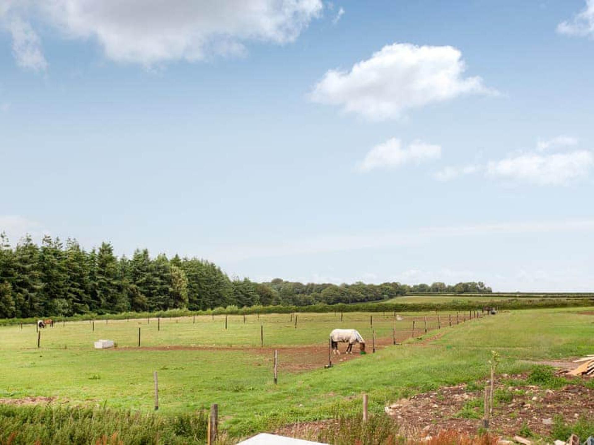 Paesaggio rurale con un campo recintato, un piccolo edificio e un cavallo.