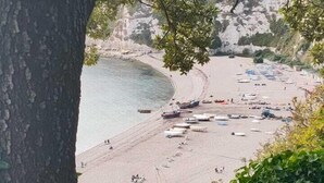 Une plage avec des bateaux et un arbre au premier plan.