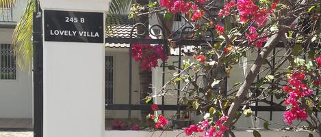 Details aan de buitenkant